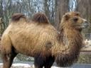 Zoo Tierpark Neuwied