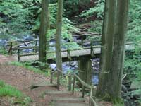 Die Holzbachschlucht bei Gemünden