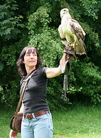 Falknerei im Wildpark Bad Marienberg